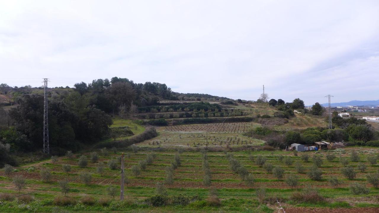 Agroturismo Cal Jeroni Avinyonet del Penedes Exterior foto