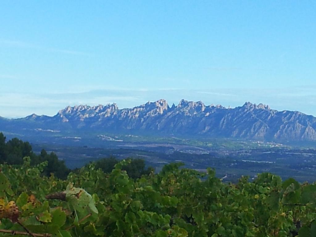 Agroturismo Cal Jeroni Avinyonet del Penedes Exterior foto