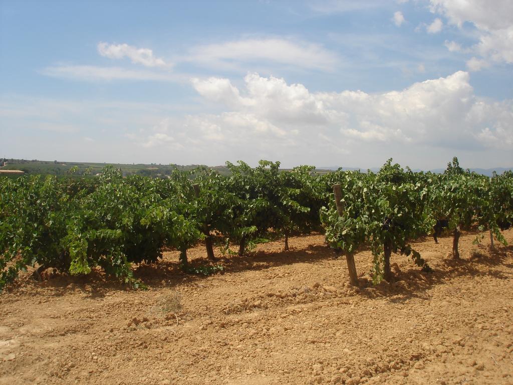 Agroturismo Cal Jeroni Avinyonet del Penedes Exterior foto